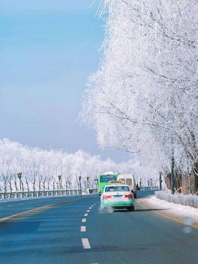 吉林霧淞|||吉林霧淞,冬季你不能錯過的美景,很壯觀 吉林霧淞|||吉林霧淞,冬季你不能錯過的美景,很壯觀