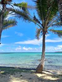 A Blissful Two-Week Stay at Tropical Attitude