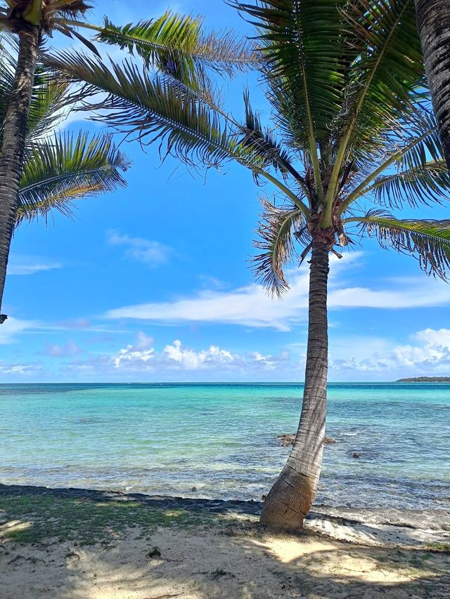 A Blissful Two-Week Stay at Tropical Attitude