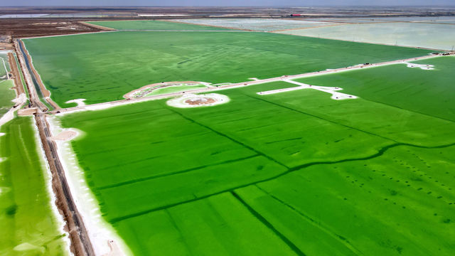 冬遊西北—青甘環線冬季六日遊察爾汗鹽湖