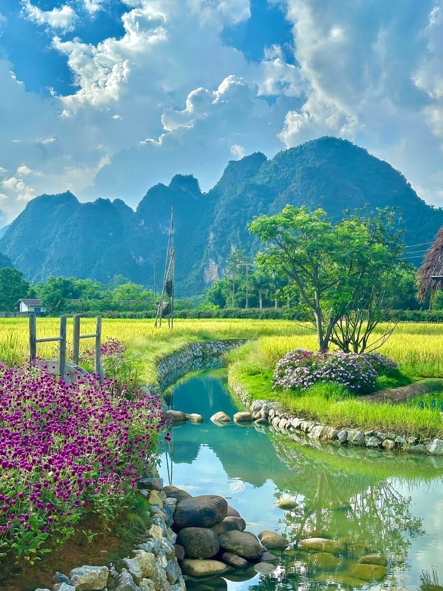 冬日奢享悖論:我花更少的錢,過了更頂配的冬天 冬日奢享悖論:我花更少的錢,過了更頂配的冬天