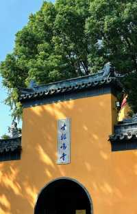 南京櫻花天花板！絕美古剎賞春攻略