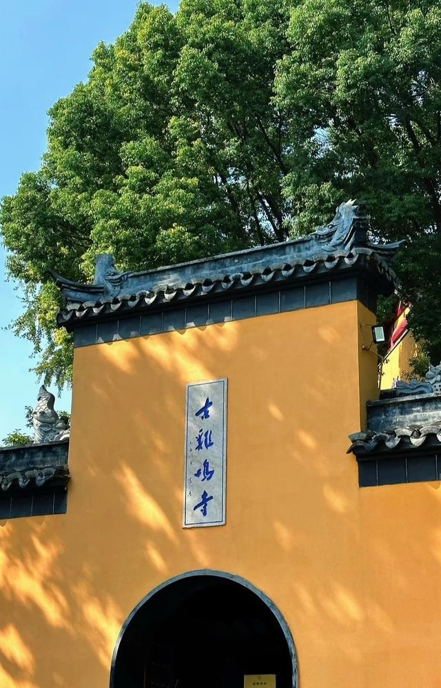 南京櫻花天花板！絕美古剎賞春攻略