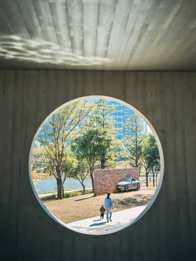 就在深圳超愛的免費寶藏遛娃地，超chill