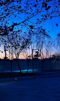 阿那亞童話月精簡攻略2025.11.28-2026.1.3