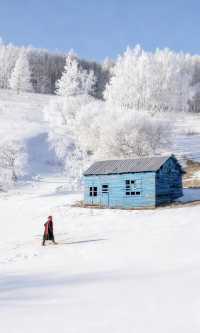 以為夏天的呼倫貝爾夠美了沒想到冬季依舊封神
