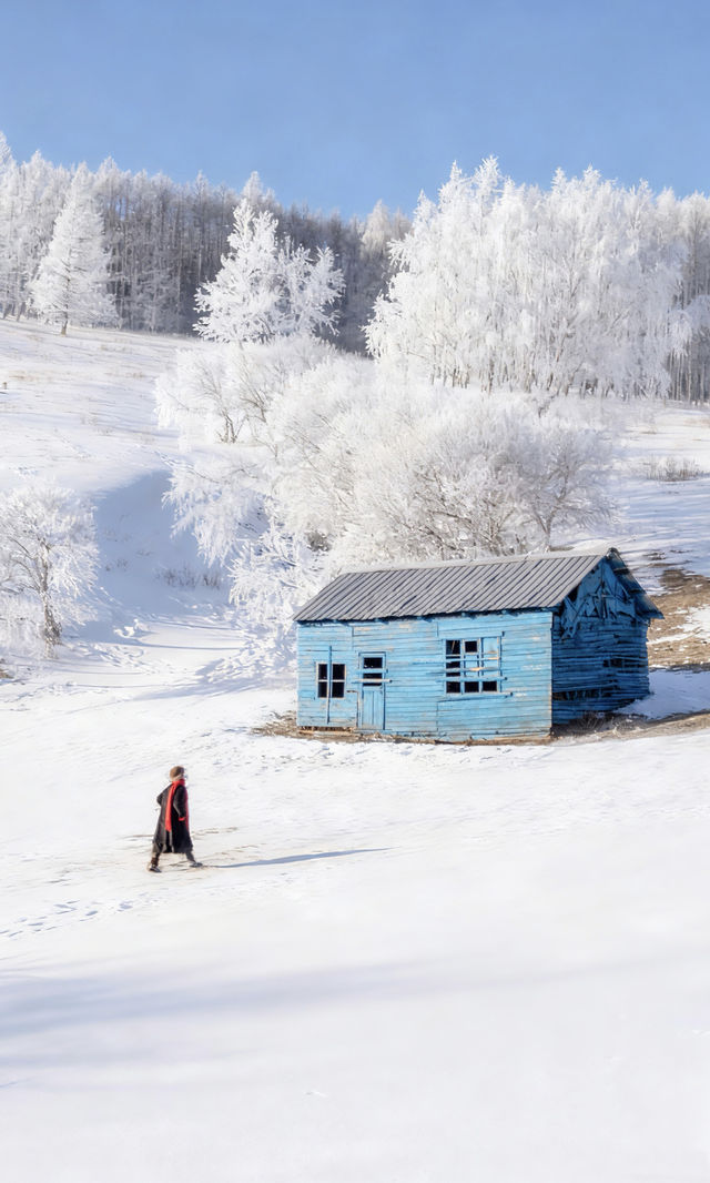 以為夏天的呼倫貝爾夠美了沒想到冬季依舊封神 以為夏天的呼倫貝爾夠美了沒想到冬季依舊封神