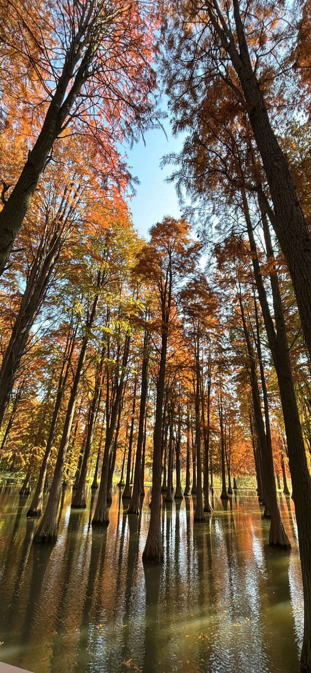 歡迎來旅遊打卡 歡迎來旅遊打卡