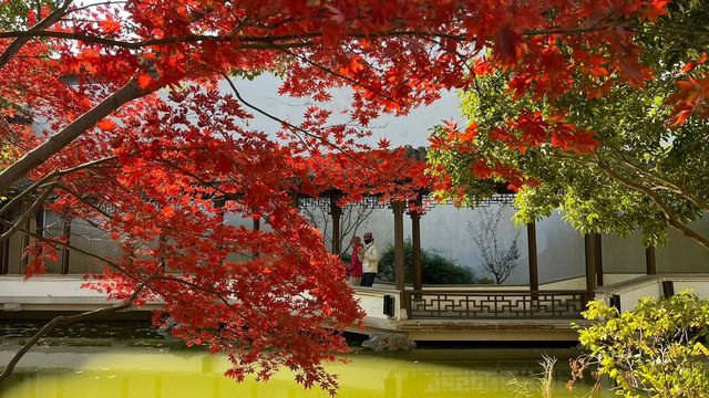 上海賞楓絕佳地標