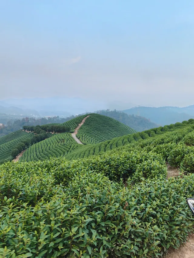 週末|到莫干山下感受陽光和快樂 週末|到莫干山下感受陽光和快樂