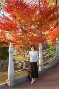 真的紅了武漢青山公園11.27實拍，美絕了