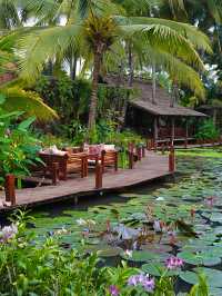 琅勃拉邦蓮花餐廳,像在油畫裡用餐