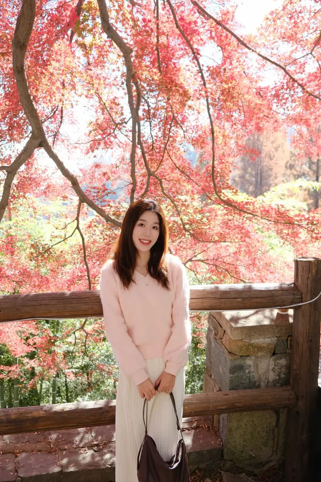 莫干山的楓葉紅啦錯過等一年