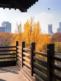 去逍遙津務必上逍遙閣中式秋景太絕了