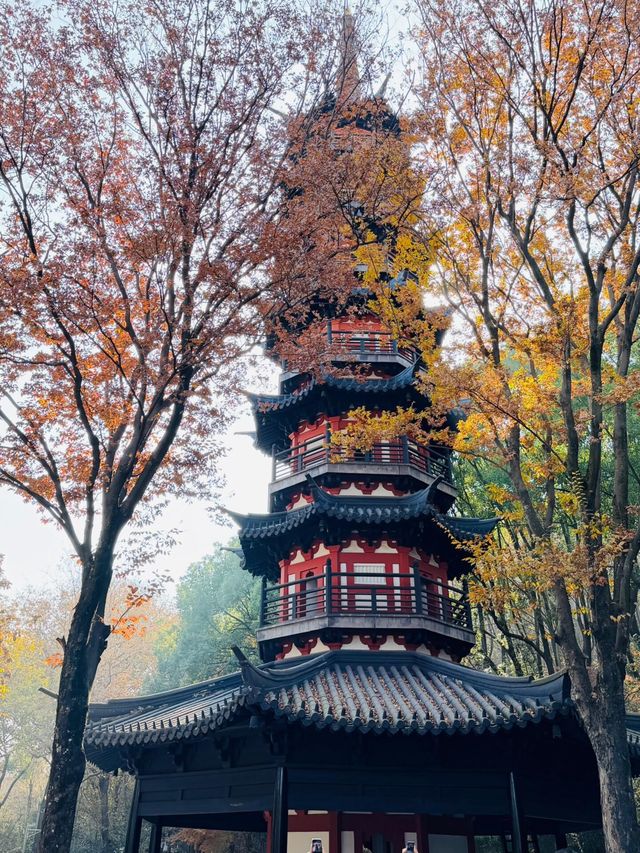 上海佘山東西連穿徒步攻略：人文與自然的親子輕徒路線