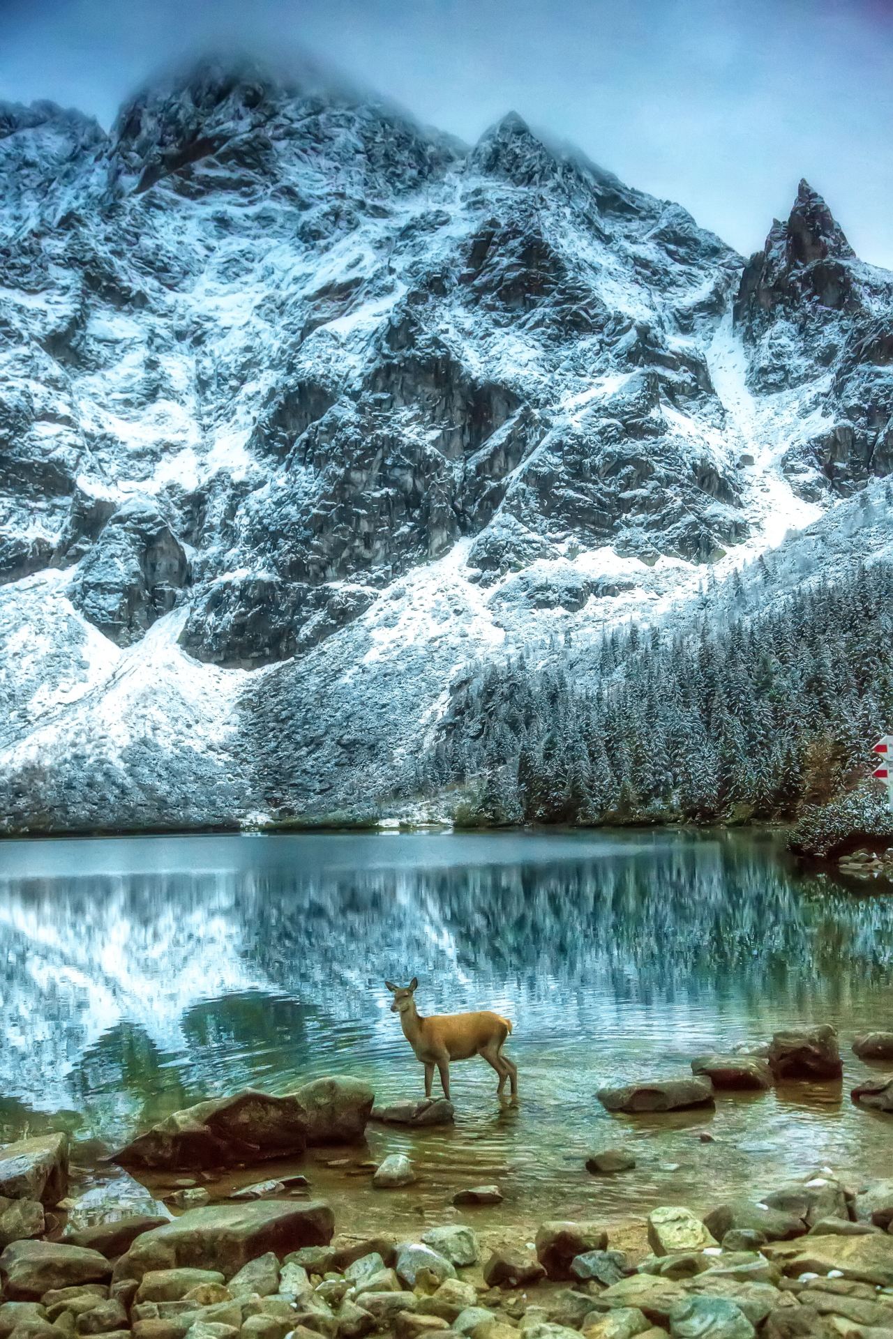 Khám phá Zakopane, "Thủ đô mùa đông" của Ba Lan