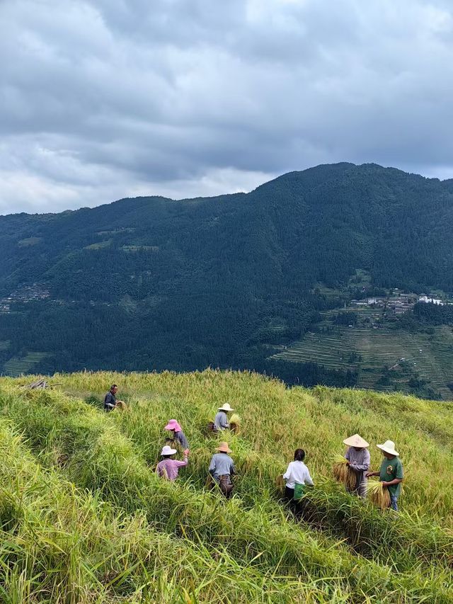 如詩如畫的肇興侗寨 如詩如畫的肇興侗寨