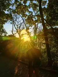 住深圳去香港爬【柏架山+怪獸大廈】|一周一山