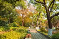 在武漢,週末不知道去哪兒玩,來東湖就對了