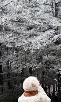 12.4實拍峨眉山的霧淞美瘋了