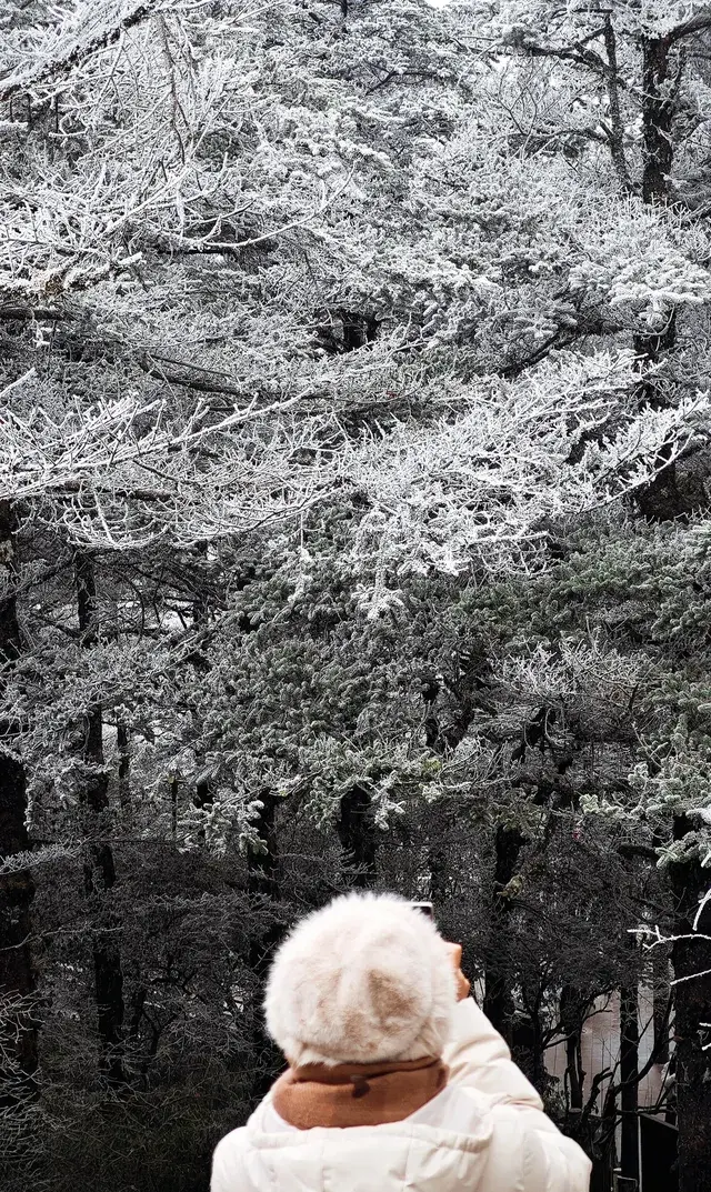 12.4實拍峨眉山的霧淞美瘋了