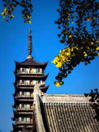 上海小眾銀杏秘境攻略