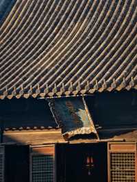 上海小眾銀杏秘境攻略