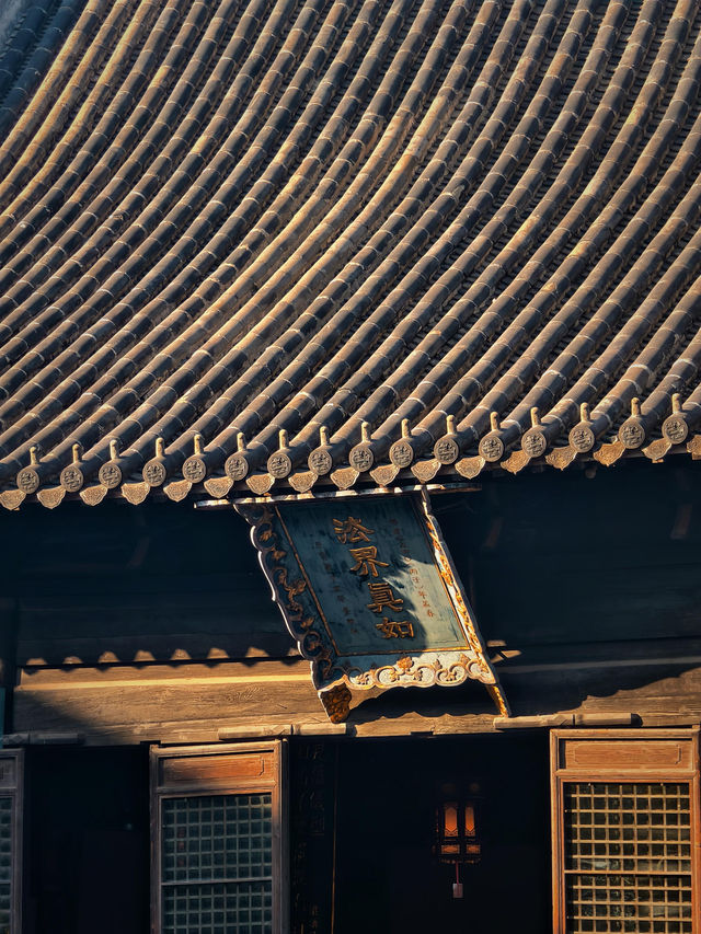 上海小眾銀杏秘境攻略 上海小眾銀杏秘境攻略