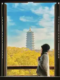 12月！預計會有10萬人來這裡…