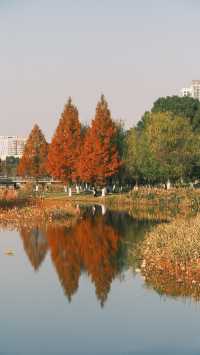 週末出逃|特種兵寧波兩日遊攻略