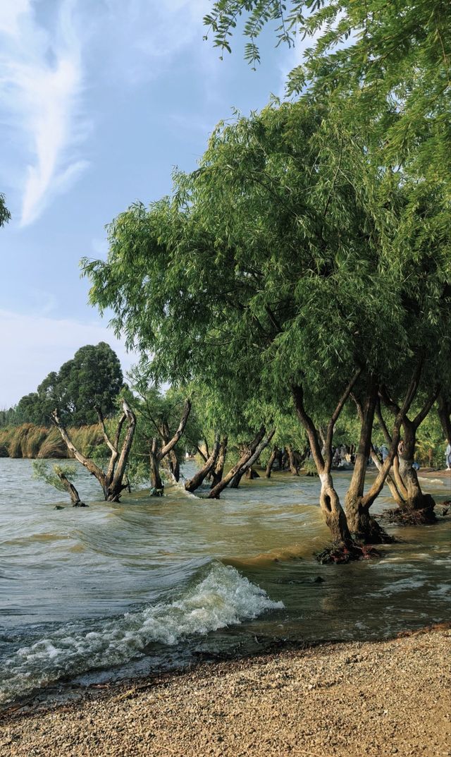 日落是溫柔，浪漫是和你一起看過的瞬間
