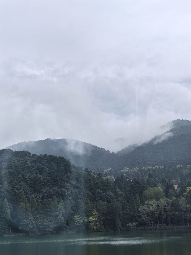 蘆林湖的靜美 蘆林湖的靜美