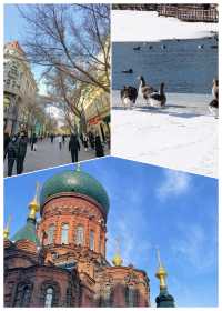 哈爾濱延吉長白山雪鄉7天攻略