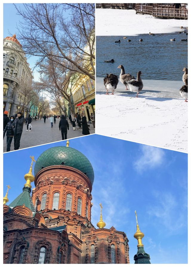 哈爾濱延吉長白山雪鄉7天攻略