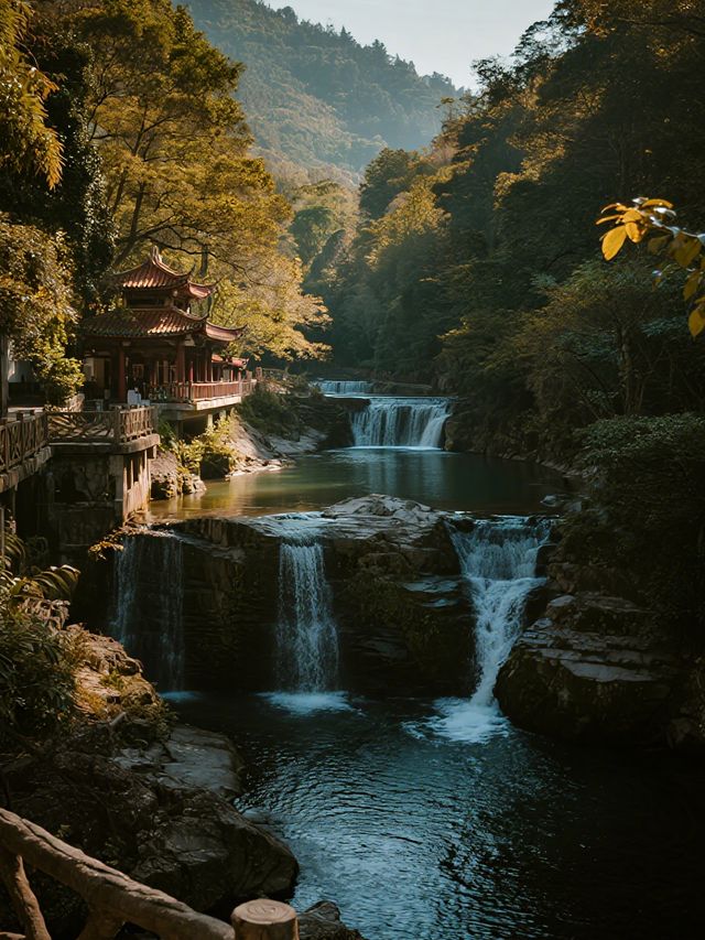 鼎湖山冬日親子遊！1.5h直達吸氧賞雪～