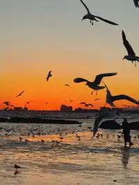 日落，是天空寫給秦皇島的溫柔啊