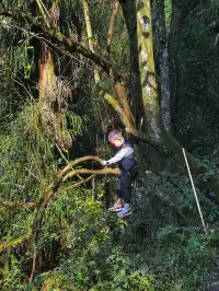 成都霧霾天的救命徒步!蒲虹路6公里,拿捏!