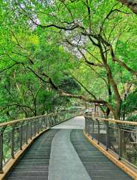 重慶渝中旅遊丨半山崖線藏著茶馬古道的痕跡