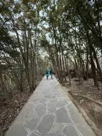 張家界 / 石門鎖翠