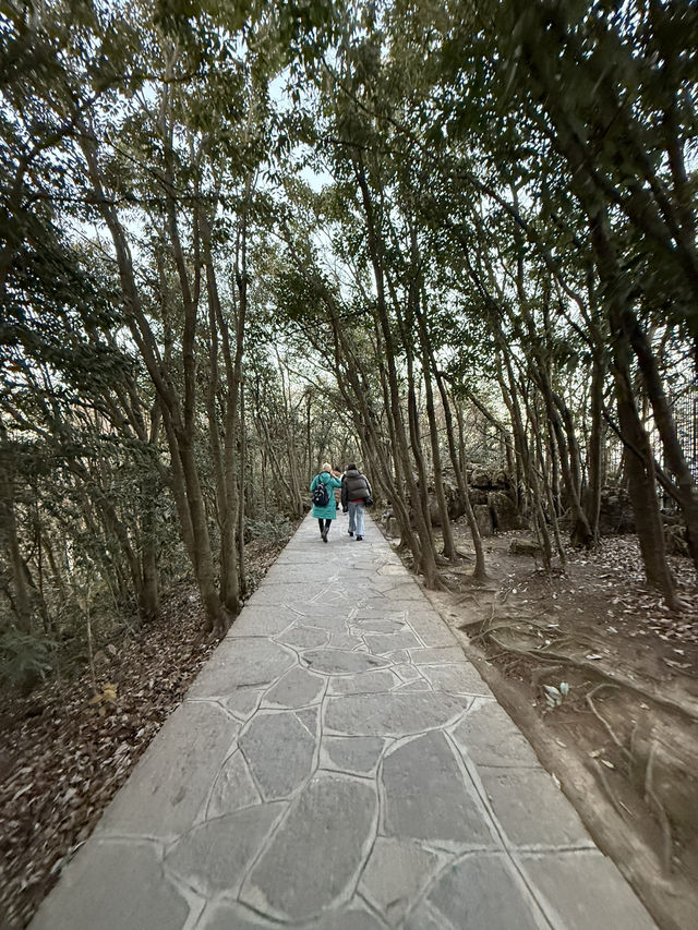 張家界 / 石門鎖翠 張家界 / 石門鎖翠