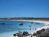Perth|Rottnest island 🩵