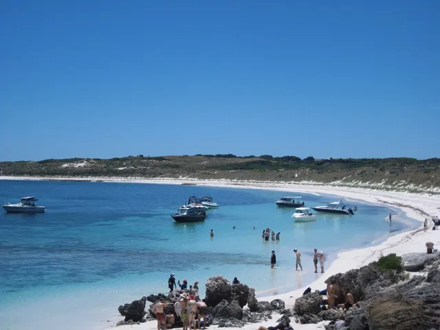 Perth|Rottnest island 🩵 Perth|Rottnest island 🩵