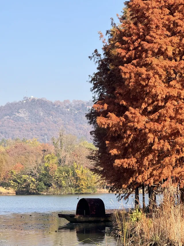 鐘山風景區精華指南含無人版梧桐大道 鐘山風景區精華指南含無人版梧桐大道