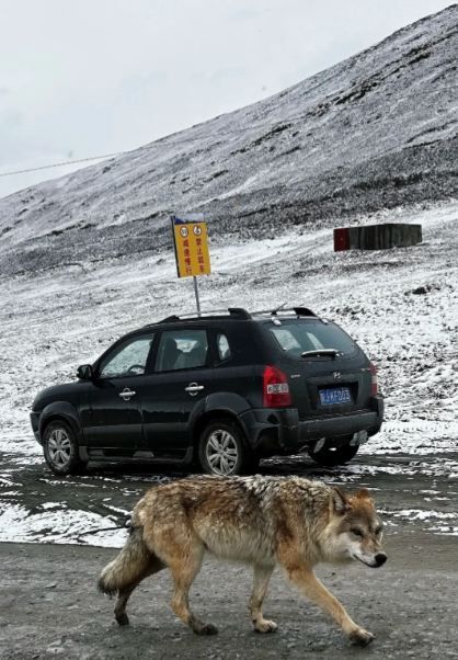 元旦必衝蘭州等地真的美到失語 元旦必衝蘭州等地真的美到失語