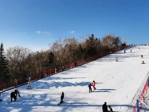 새해 첫날 스키 천장｜초보자 필수 스키장+사진 촬영 가이드