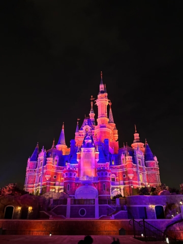 エンチャンテッド・ストーリーブック・キャッスルのおすすめガイド2026