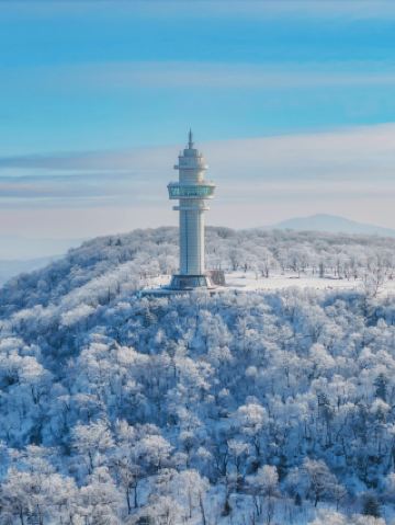 지린성의 사방정자는 구름 속에 숨겨진 보석 같은 곳입니다! 산 전체에 철쭉이 만발하여 황량한 나무들을 시적인 풍경으로 탈바꿈시키고, 사계절 내내 마법에 걸린 듯한 아름다움을 선사합니다.