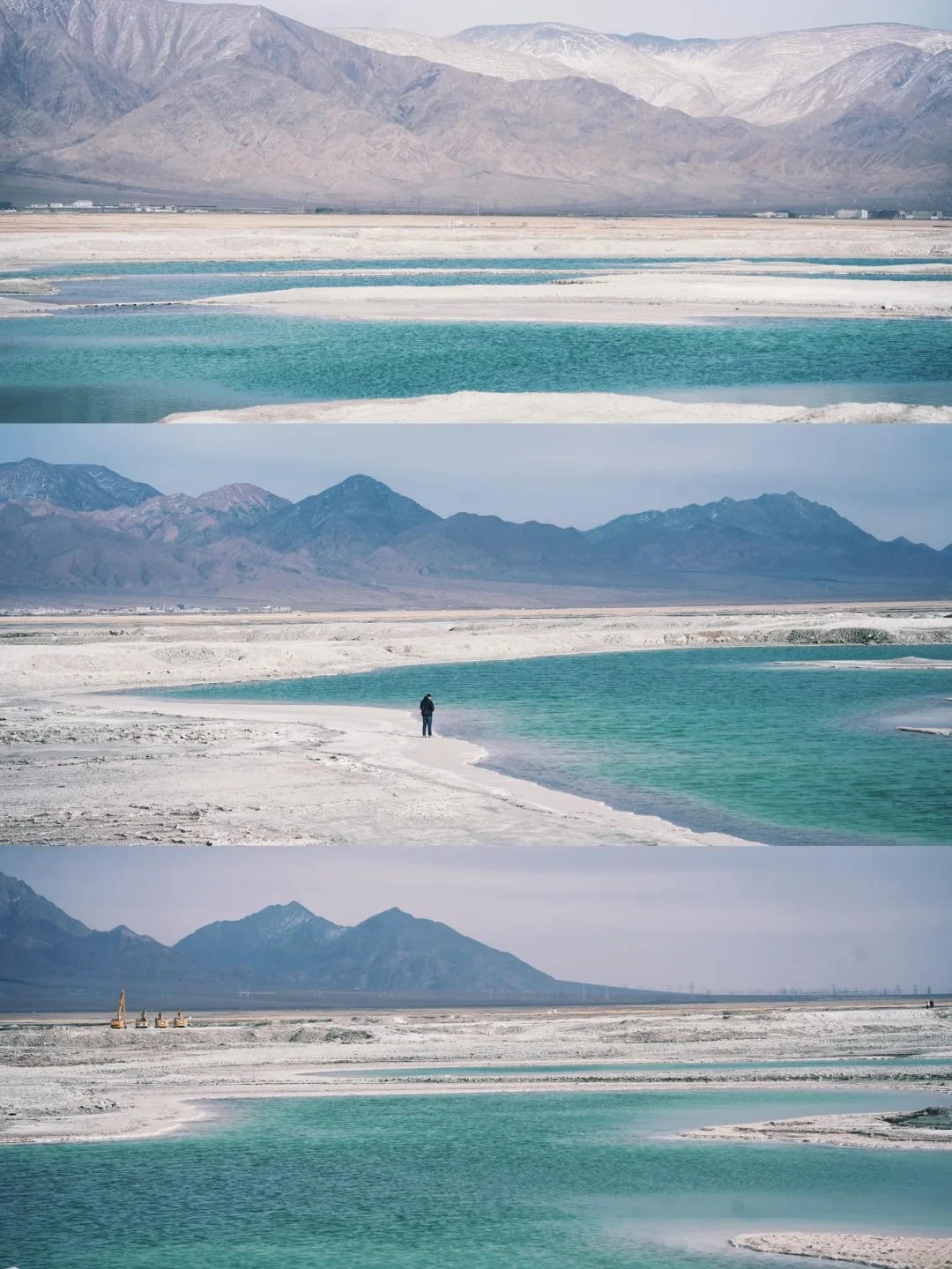 After chasing the Tree of Life, I realized 99% of the attractions in Qinghai and Gansu were a waste of time