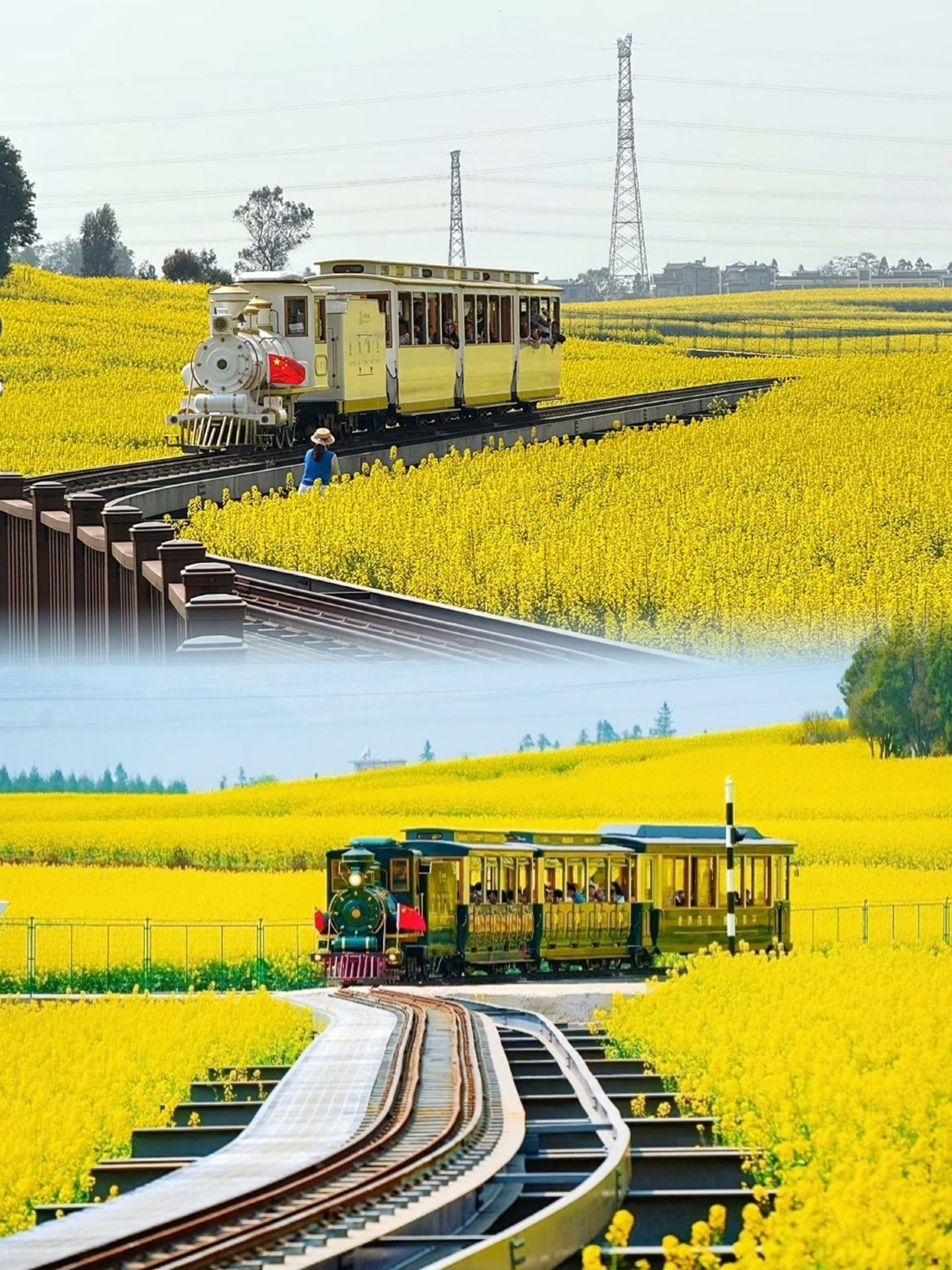 Tạp chí National Geographic đã không nói dối tôi; Luoping có những bông hoa cải dầu đẹp nhất Trung Quốc.