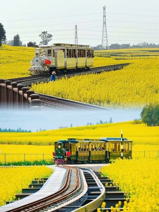 《내셔널 지오그래픽》이 나를 속이지 않았다, 루오핑에는 중국에서 가장 아름다운 유채꽃밭이 있다